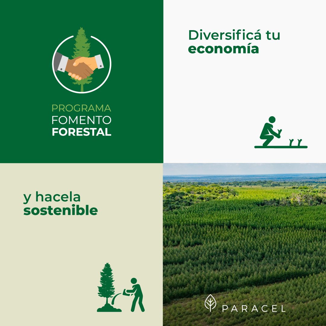 paracelpy's tweet photo. Nuestro Programa de Fomento Forestal busca fortalecer el compromiso social con productores y productoras de la región y ofrecer un nuevo rubro a su economía  🌱🤝🏼

📩 Para más información, contactá a fomento.forestal@paracel.com.py https://t.co/HTfNpVLdsb