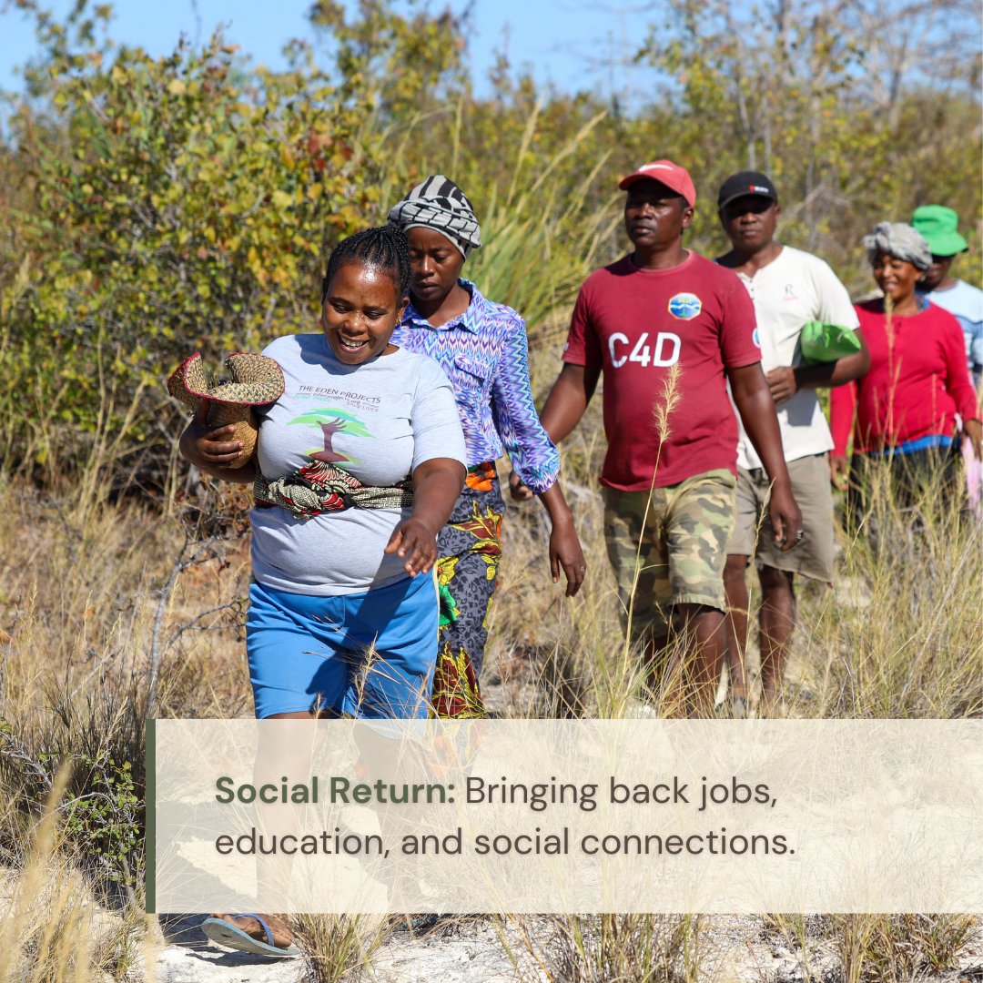 eden__plus's tweet photo. #Eden's approach to #LandscapeRestoration is inspired by @Commonland's #4Returns framework. By integrating this into our strategy, we go beyond ecological initiatives and support communities' emotional, social, and economic well-being.   
Learn more here: https://t.co/cfMxB2bCTH https://t.co/qeGlaZ7eKt