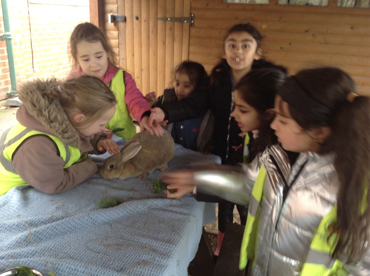 Year 2 had a fantastic residential <a href="/KingswoodTrust/">KingswoodTrust</a>. We enjoyed lots of activities such as owl night trail, animal handling, common walk, clay animals and meet the tree blindfolded! Thank you Carla, Jude and Neil (and the cook!) for your support. #memories