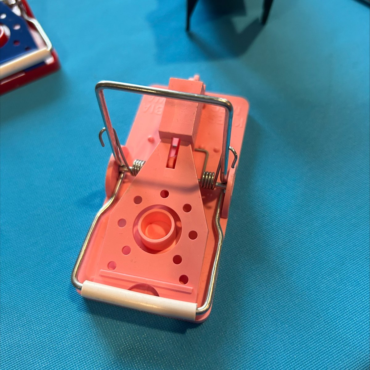 knesspestdefens's tweet photo. Misty is representing #Kness in #AustinTX at the Women in Pest Control Conference. Two days of education, networking, and fellowship of women empowering women in our industry! If you are in attendance, stop by the Kness booth and pick up a custom pink Snap-E Mousetrap! https://t.co/ToDaUjjdX0