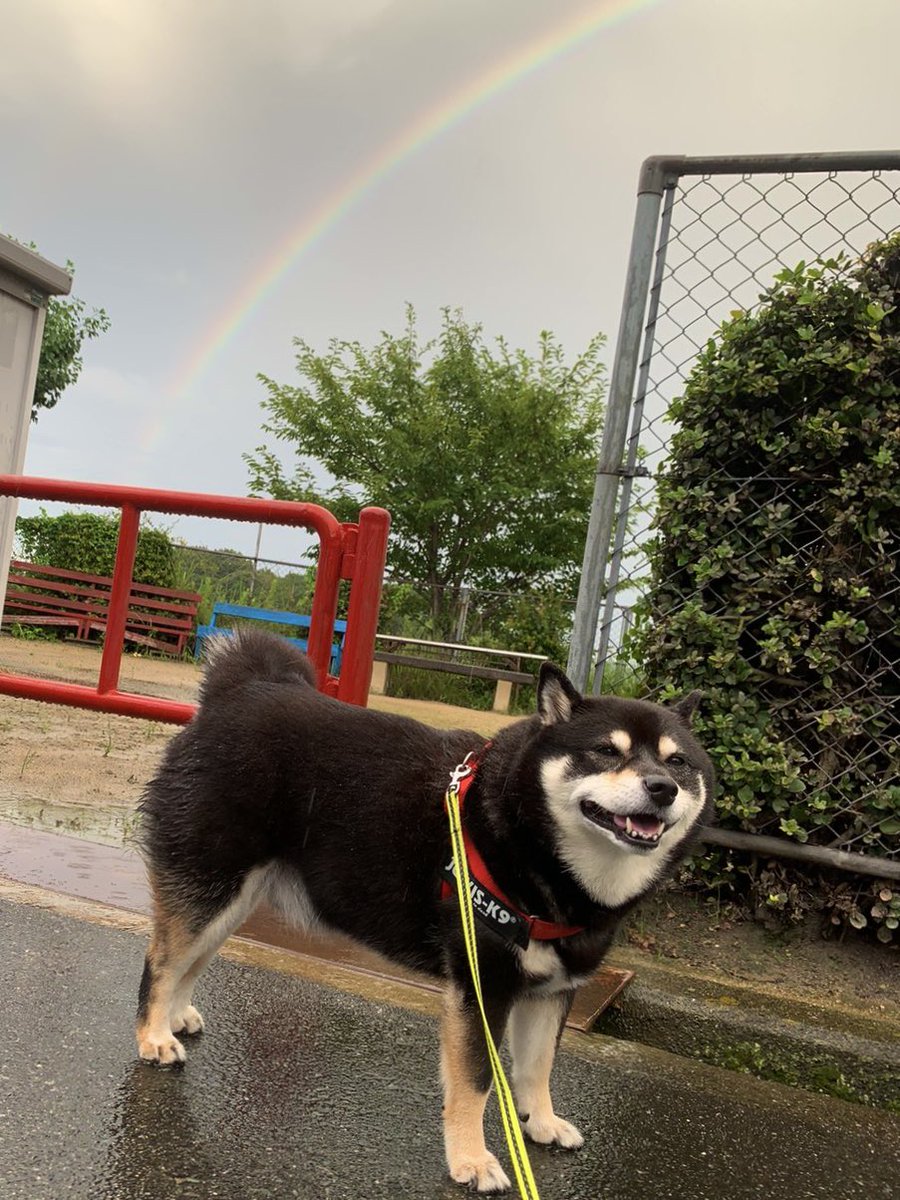 雨…あがったね U^ェ^U