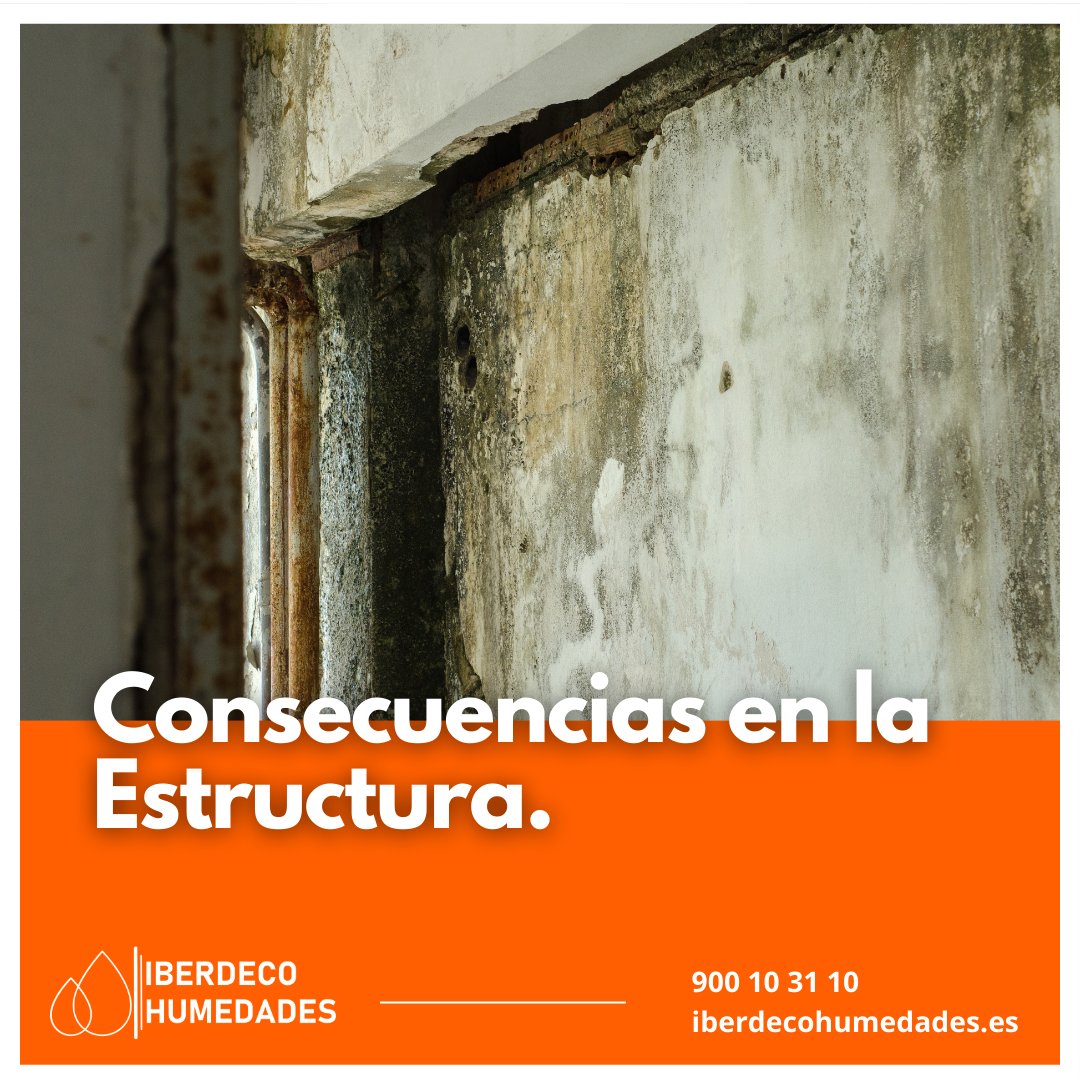 Iberdeco Humedades tweet media