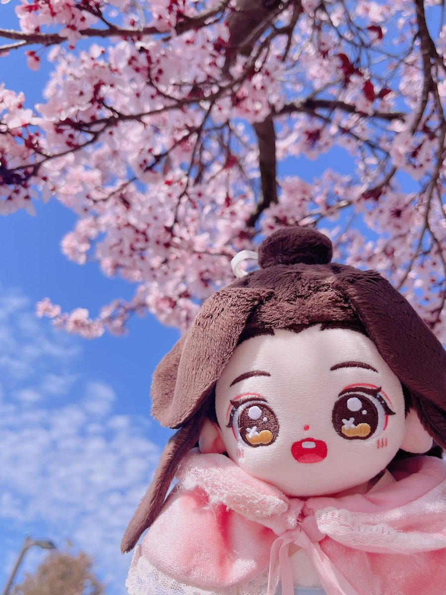 more flower pics bc i have no self control
我慢できなくて梅花を見に行った時の写真もっと載せようと思って🎀