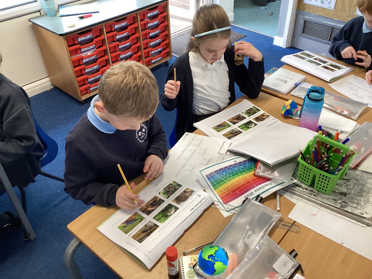 sbps_rabbits's tweet photo. #sbpsSci In Science, we learned about classification keys and how they can be used to identify different animals. By the end of the lesson, we were able to create our own classification keys involving different mini beasts. https://t.co/ji6F8C9eQb
