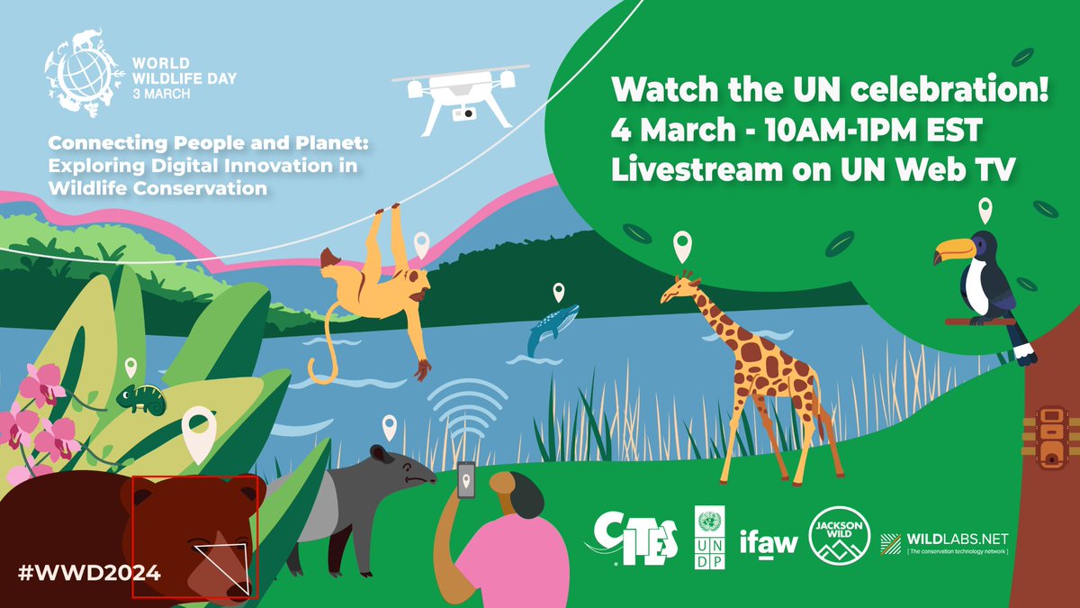 Join us, @CITES, @ifawglobal & @JacksonWild for #WorldWildlifeDay for a conversation with @ivonnehiguero, @ASteiner, @ITUSecGen, @gioasempre & more for a conversation exploring #DigitalInnovation in wildlife conservation.

📅 4 March
🕙 10am
📺 bit.ly/3uRE2Yq 

#WWD2024