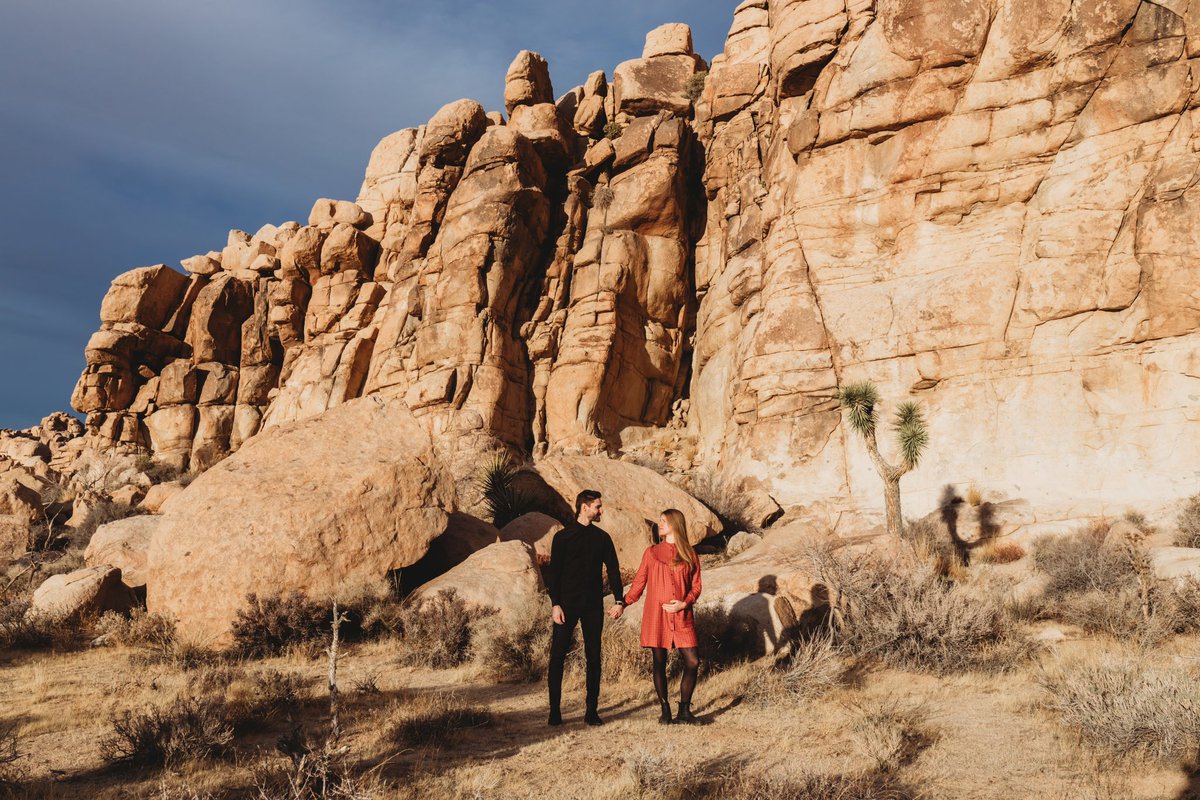 SoundSnapPhoto's tweet photo. Booking Sessions in Joshua Tree for Spring Season!! https://t.co/O5wJueLS9S