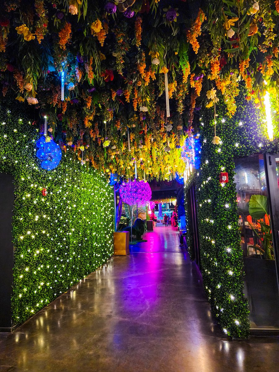 PamPilouk's tweet photo. Spanning 10,000 square feet in Miamiโs artsy Wynwood district, @FabelMiami is an enchanting open-air rooftop restaurant and lounge inspired by the Greek islands and the beaches of Southern France.
#miami #florida #miamifoodie #miamibars #thingstodoinmiami #usatravel #travelguide https://t.co/lw1vpjeCyo