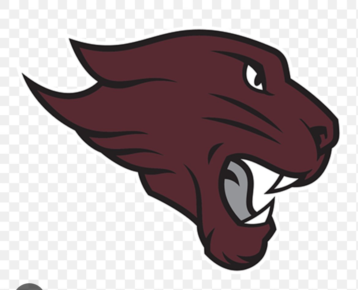 I’m grateful to become the new Defensive line coach at Concordia University Chicago 

#Liveandin3D