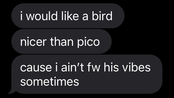 my vibes are perfect actually