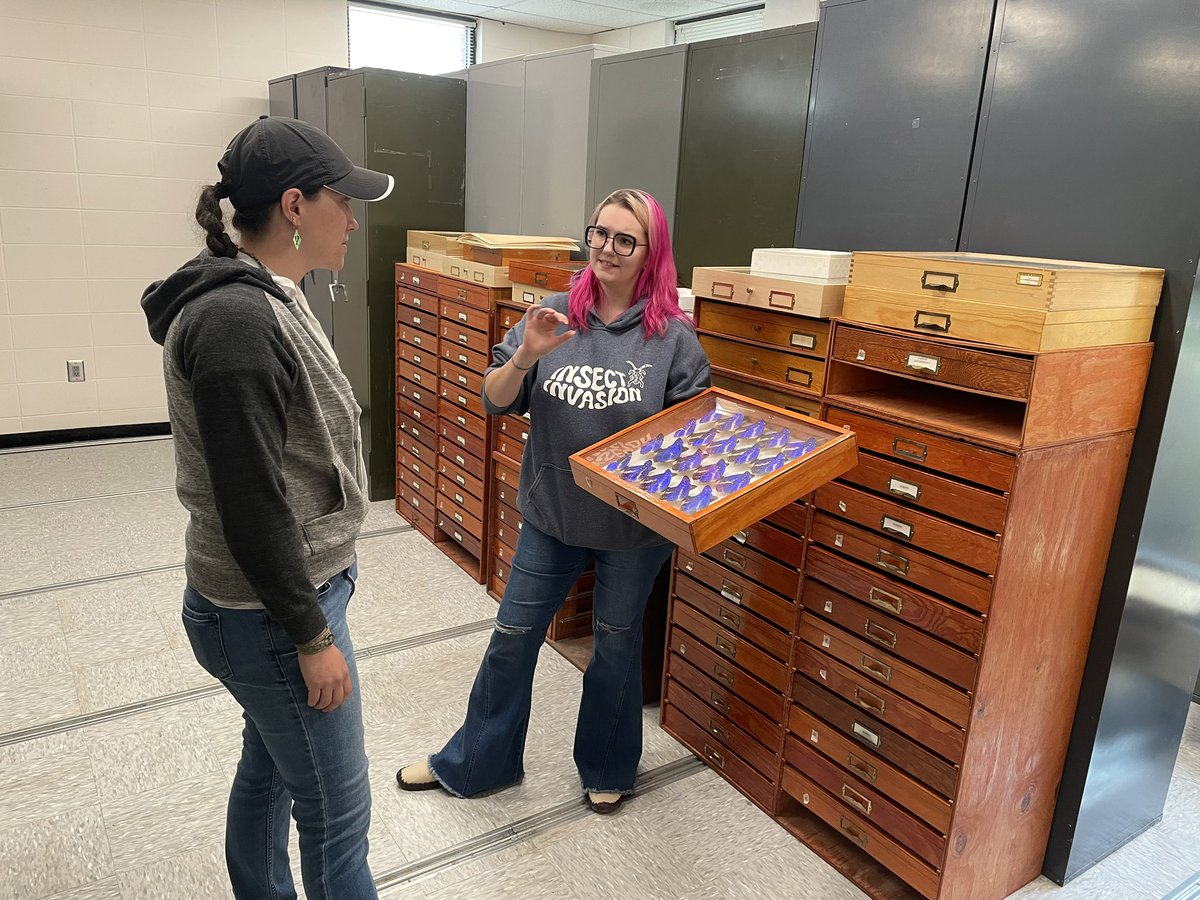 Corlee Thomas-Hill a Tribal Liaison with the Southeastern Grassland Initiative visitied the MEM today to see our collection and to discuss grassland conservation in the Southeast.