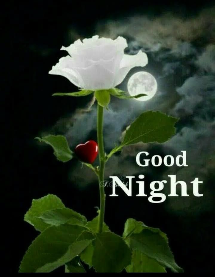 Peter_poesia's tweet photo. @LoveZavanah holaa buenas noches !! Muchsimas gracias por la bienvenida Zavanah es un placer,como siempre estar de nuevo y coincidir de nuevo contigo ✍🌄🌹Me alegra te haya gustado mi nuevo escrito,después de este respiro de twuiter que cambió de nombre,ajaj Abrazo enorme con afecto 🤗sonríe https://t.co/tzp4vJ0gLj