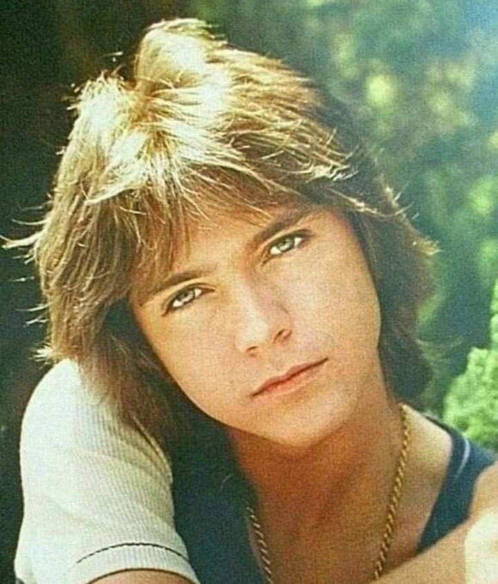 jessbythebsb's tweet photo. And we forever melt.. 😍💖💖💖💖💖💖 #DavidCassidy #love #hicutie #themeyes https://t.co/dXZRJpLGnG