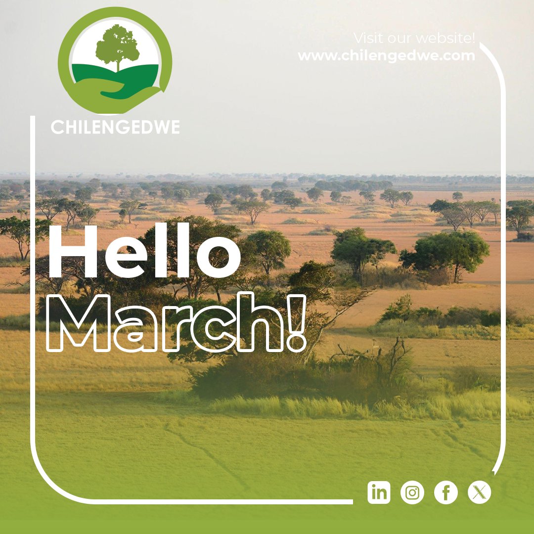 Chilengedwe (@chilengedwe) on Twitter photo 