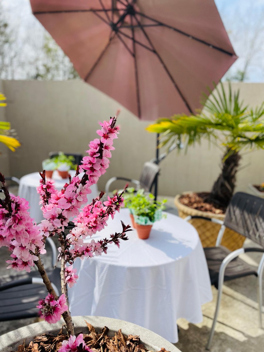 Copperwing_C's tweet photo. 🎉 Wow 🎉 Copperwing opened its doors in March twenty-five years ago! We kicked off our birthday month with a little al fresco team lunch. Incredibly, our clients, community, friends, and family have helped open even more doors each year. We are humbly grateful for every minut... https://t.co/GPEUZo0N0D