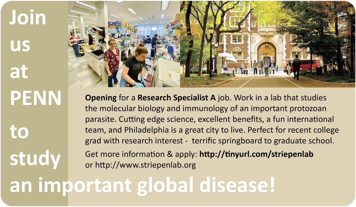 Come and work with us at Penn in Philadelphia as a research specialist A (lab tech). Great opportunity to hone your molecular biology research skills in preparation for grad school in a strong lab. Hands on research experience a benefit, willingness to work with mice a must. #job