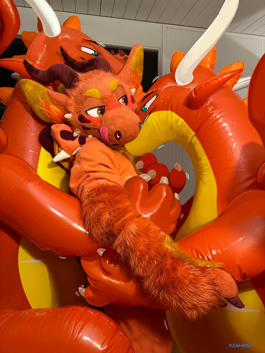 DRAZ 🐲 tweet media