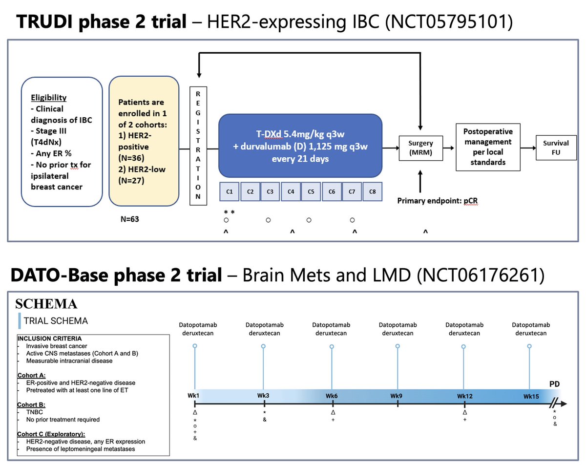 One of my key research efforts is to expand the benefit of ADCs to pts with rare BC forms. On #RareDiseaseDay, I’d like to highlight 2 trials I had the chance to develop w/ @FilipaLynce & @drsarahsam: -TRUDI➡️T-DXd/Durva for IBC -DATO-Base➡️Dato-DXd for BCBM + LMD Both enrolling!