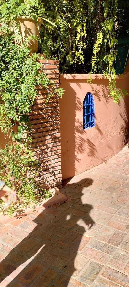 nervous_neuron's tweet photo. Thanks to #PsyCoMed for this opportunity to visit #Marrakech to hopefully foster some new collaborations. https://t.co/Z2AorWHqpa