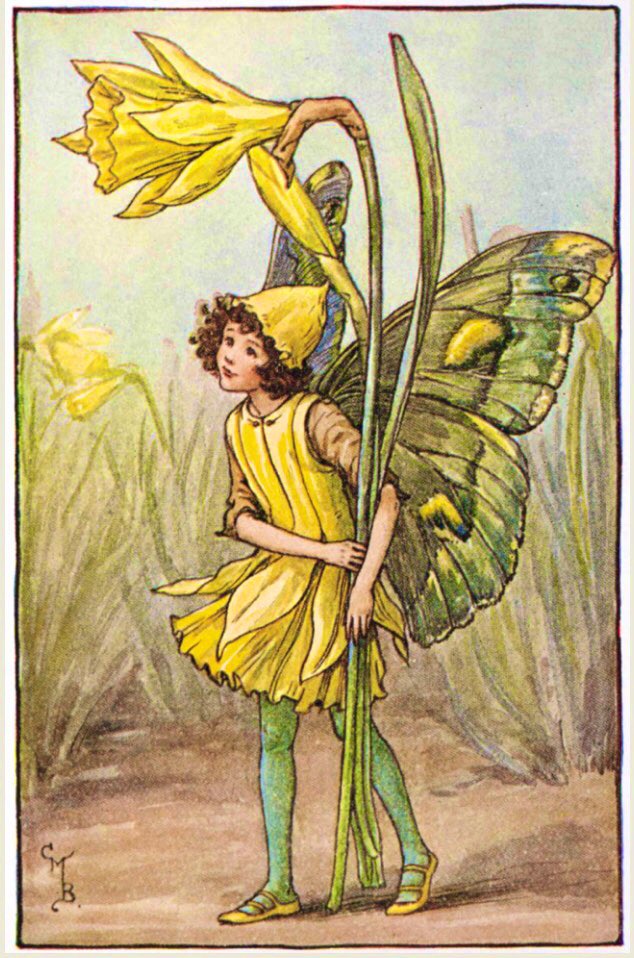 #1stMarch is #StDavidsDay, the patron saint of #Wales. The #daffodil became the national symbol of Wales at the start of the C20th, when the famous Welsh prime minister Lloyd George wore the flower at a royal ceremony in 1911. #FolkyFriday #March1st