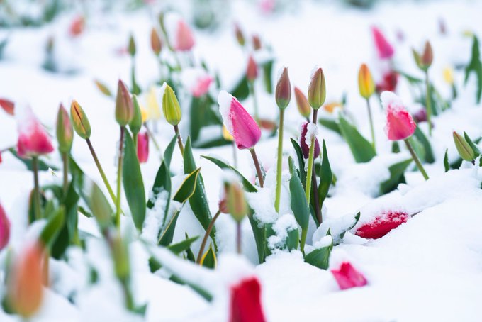 Watch Astro Poets's leaked NSFW photo on TwXstars