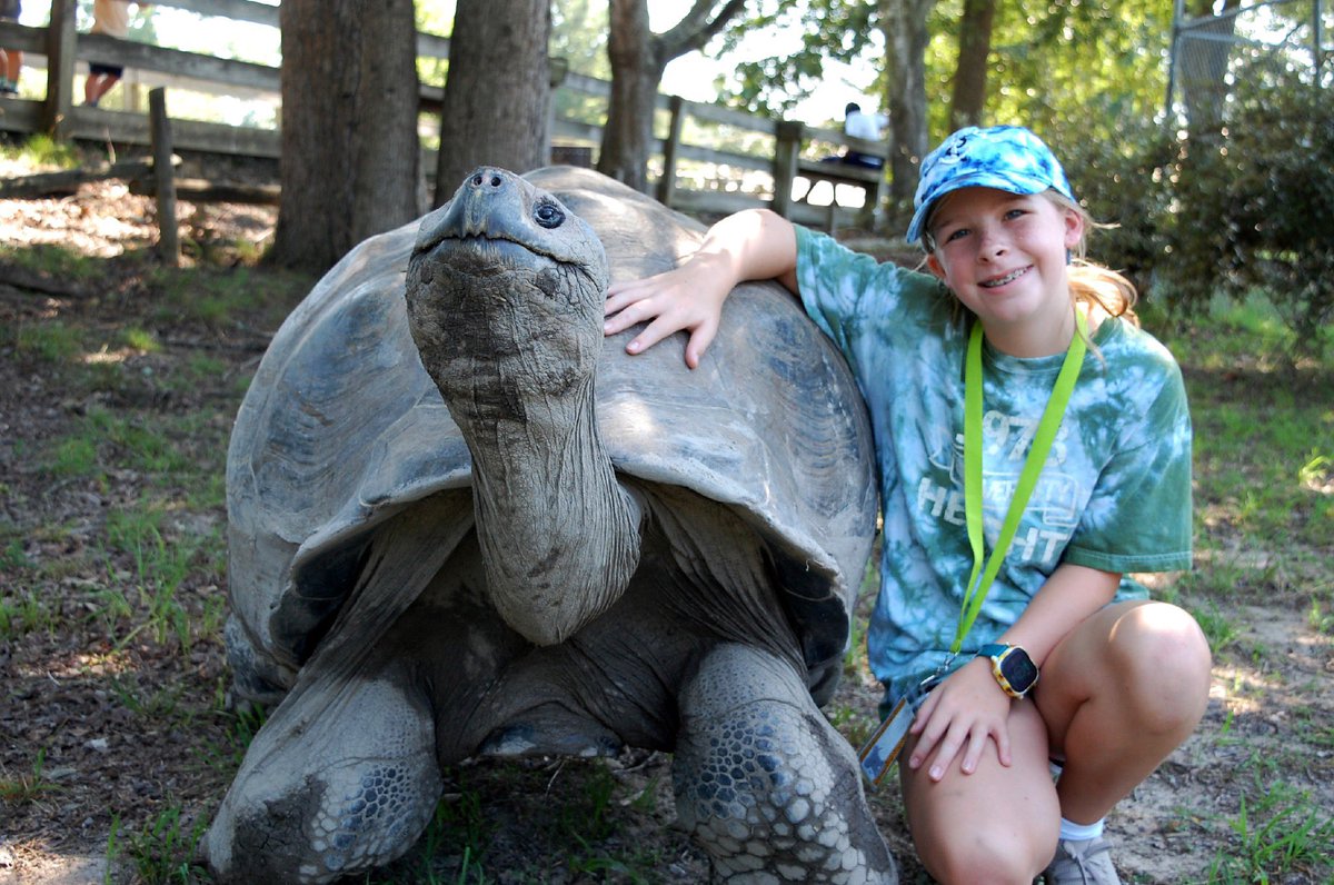 Registration for Summer Safari 2024 is now live!! Summer Safari is our popular behind-the-scenes day camp for children ages 6-13. The camp includes an in-depth guided tour of the zoo, amazing animal experiences, and more! Hurry! Sign up now: metrorichmondzoo.com/education/summ…