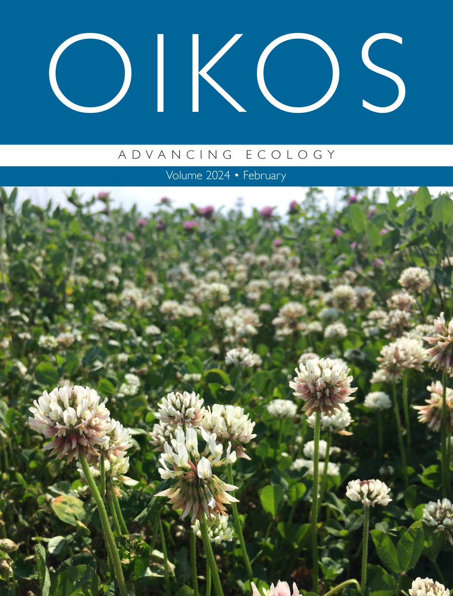 ☘️February's cover of a field of white clovers brings a little hope for the arrival of spring! ☘️ oikosjournal.org/blog/cover-feb… @NordicOikos @WileyEcolEvol #ecology #urban #landscape #urbanization #evolutionary #antiherbivore #plants