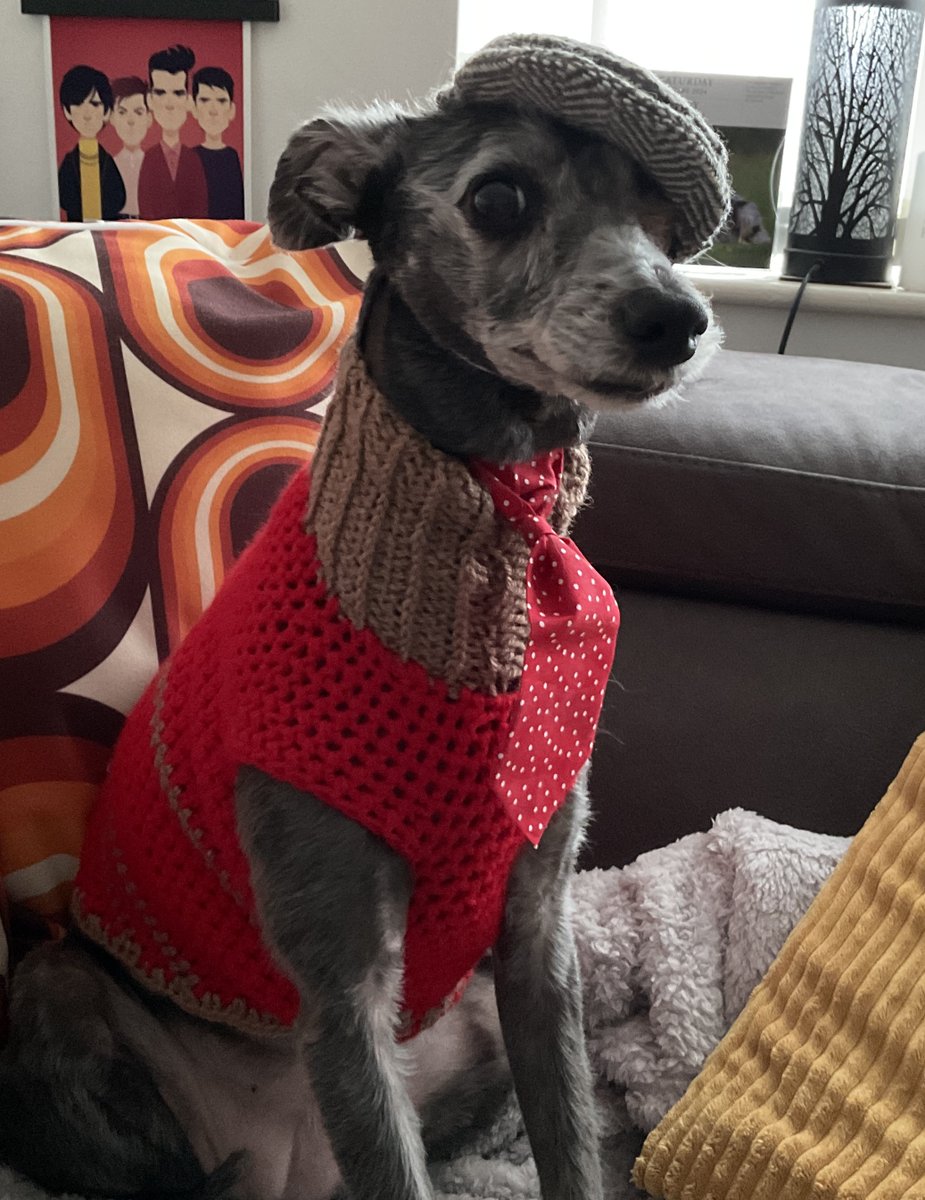 girlshirl1's tweet photo. @Phil_Sledge Raven 🧢🐾

#DogsInHats #DogsOfTwitter https://t.co/qdmY6PWeuP