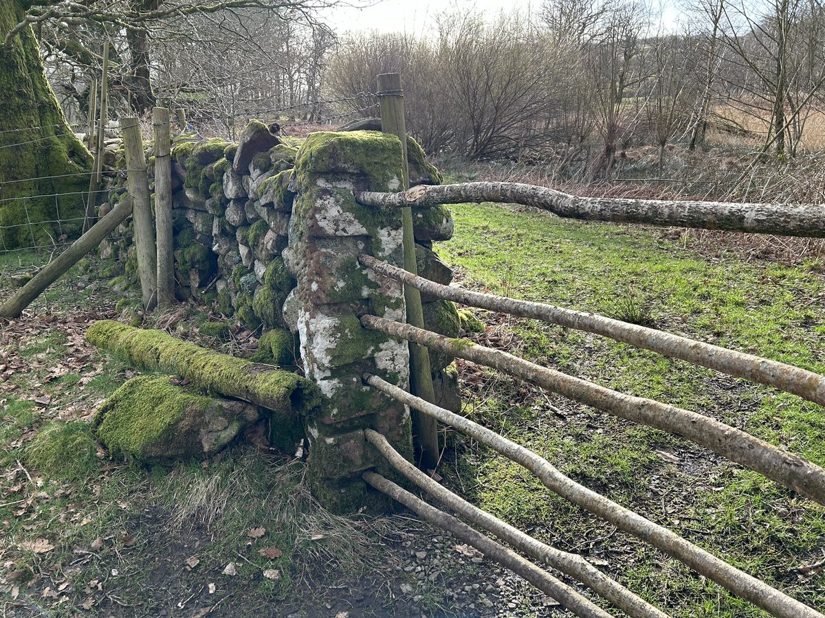 Great to see this example of an old gate method in #Wasdale #LakeDistrict this afternoon ( I know, I should get out more !)