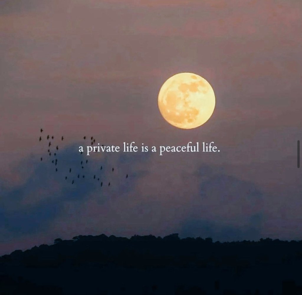 Mind_Essentials's tweet image. 