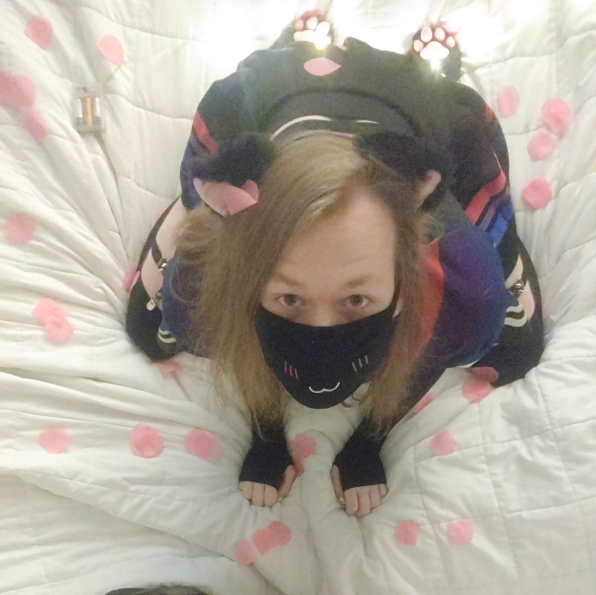 MuteCatboy's tweet photo. meow! :3 #catboy #femboy https://t.co/cP3lUcFbBH