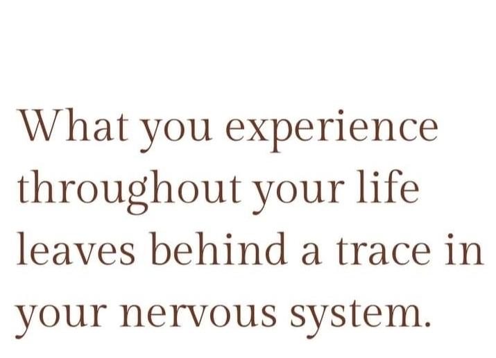 Cahillpatricia.author tweet media