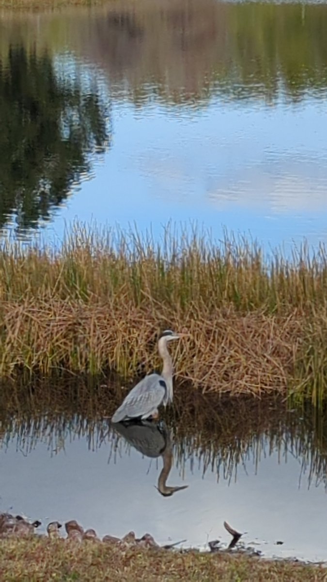 Tranquil. Calm. Serenity. #LoveFL #Florida @FitLifeTravel