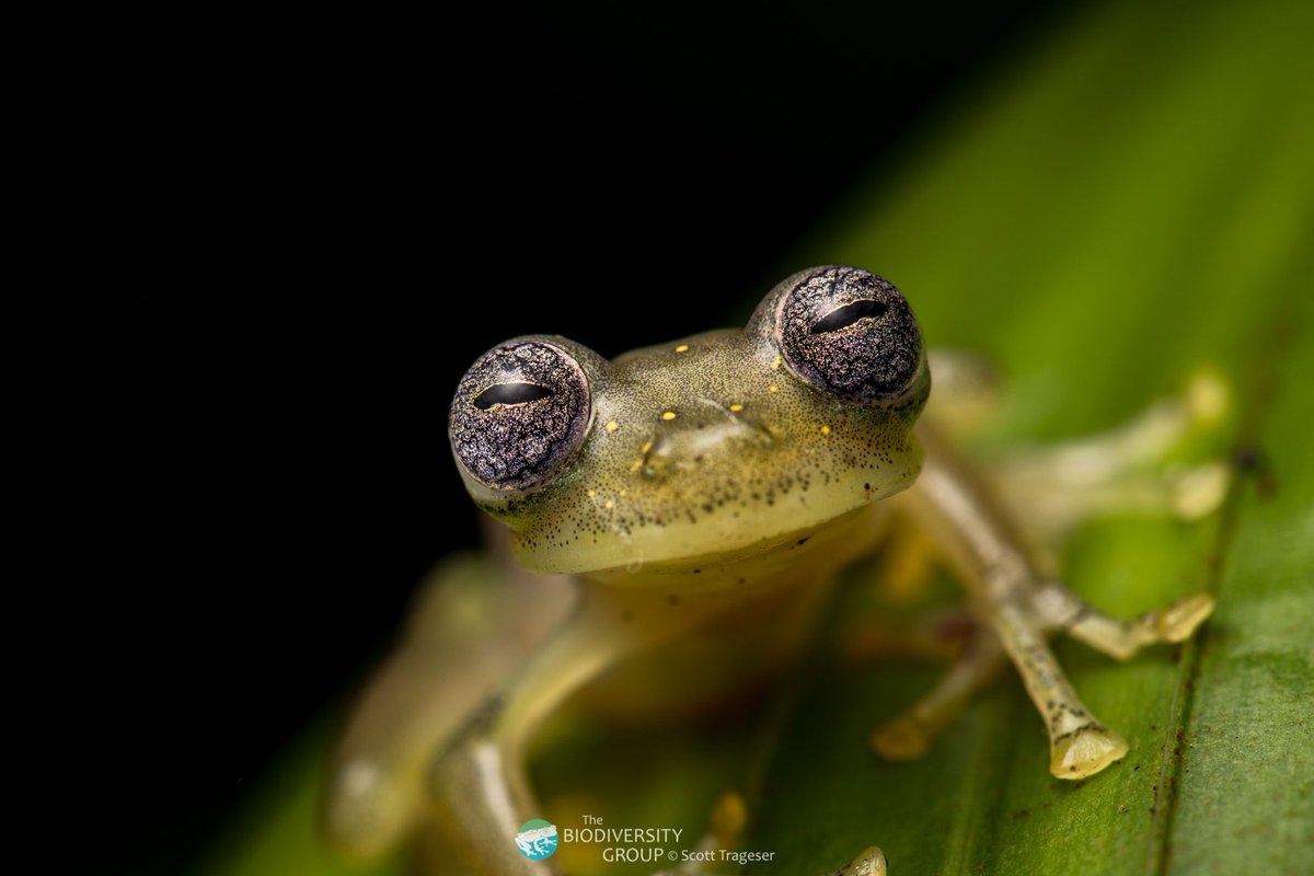 BioGroupers's tweet photo. It's Leap Day, so let's get to leapin' because tomorrow we March! https://t.co/lNbHWft1ey