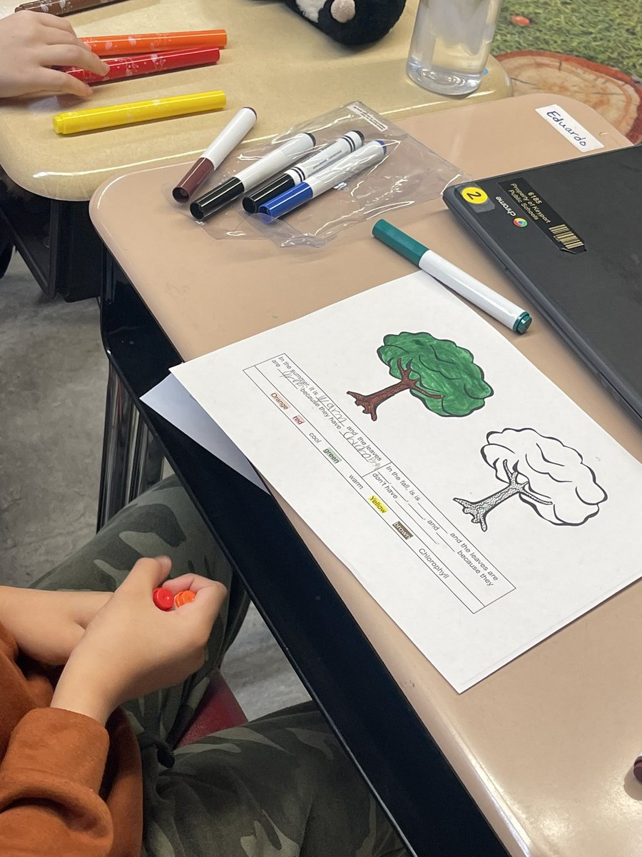 Stephanie Woit tweet media