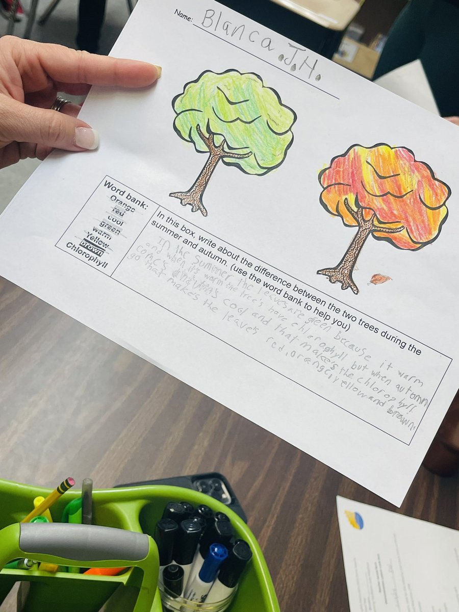 Stephanie Woit tweet media