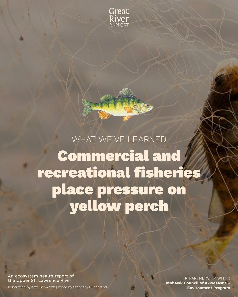 River Institute tweet media