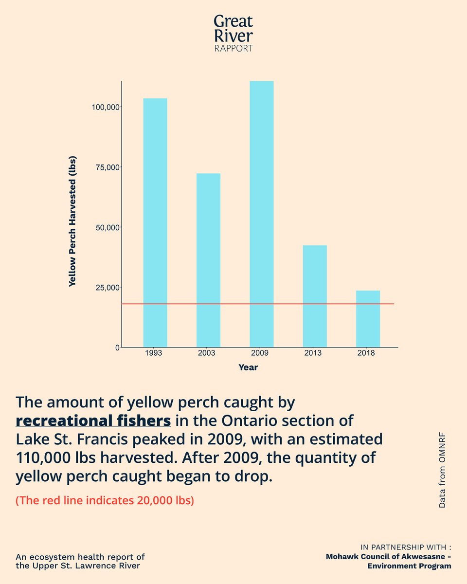 River Institute tweet media
