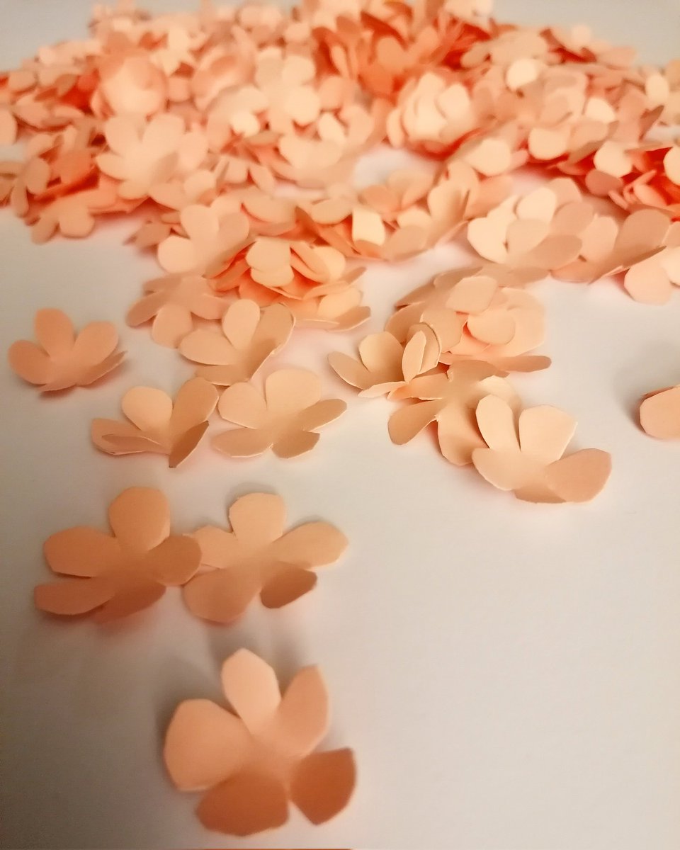 unit_twelve's tweet photo. Approximately 250 hand-cut paper blossom flowers  ready for our March window install tomorrow of work by @Akellytextiles. Watch this space for pics of the finished window

#unittwelve #newbeginnings #annekelly #annekellytextiles #inthewindow #unittwelvewindowexhibition https://t.co/6Sa1GRVr6Y