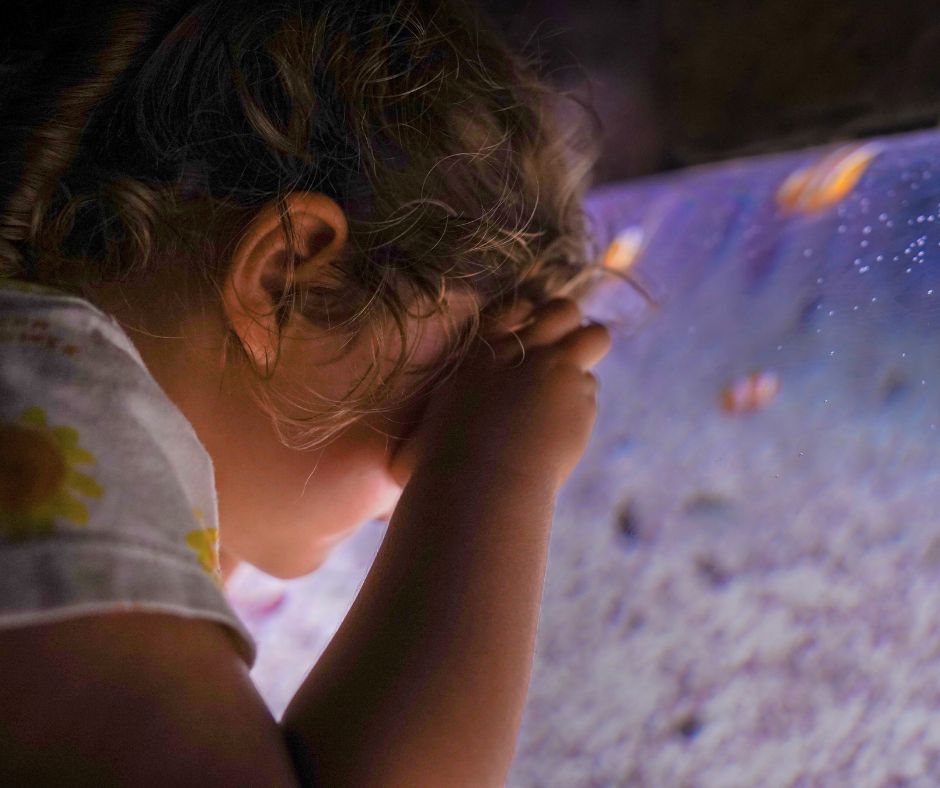 Temaiken's tweet photo. MES AZUL EN TEMAIKÈN 💙
En marzo y abril, el Bioparque abrirá media hora antes para recibir a personas con TEA y sus familias.
Los sábados, domingos y feriados, los esperamos a partir de las 9:30 h.
Accedé a tu entrada en 👉https://t.co/YDKp0hhmu6 #Temaikèn #MesAzul https://t.co/ImCcIdTkHe
