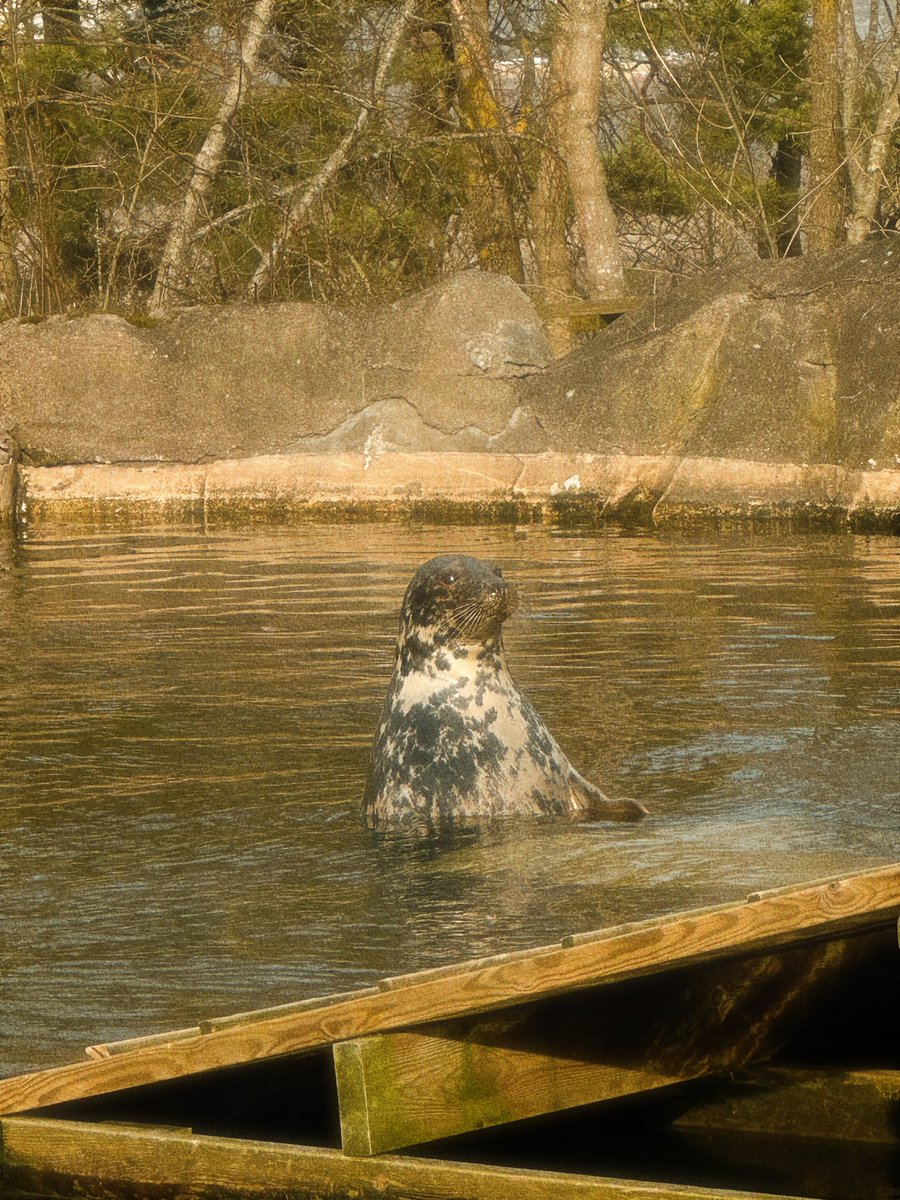 blear 2k tweet media