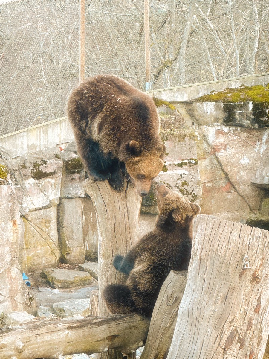 blear 2k tweet media