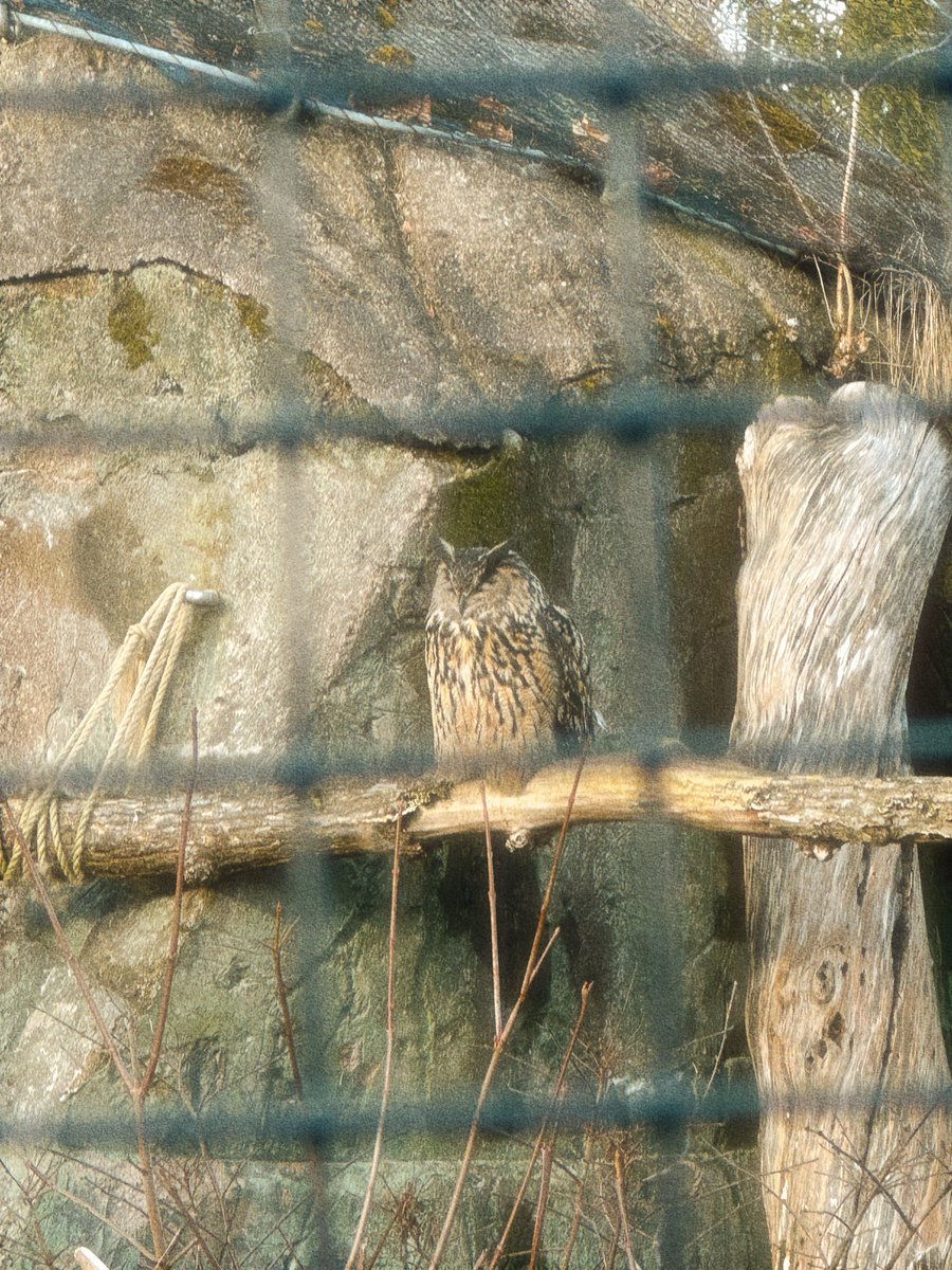 blear 2k tweet media