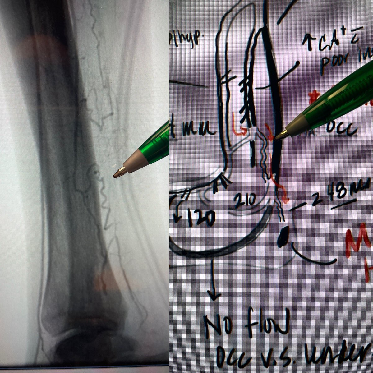 drcostantino tweet media