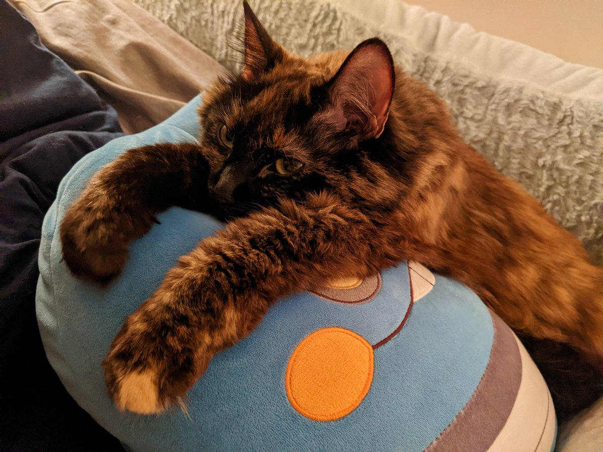 GremlinOllie's tweet photo. Mome pleas do not interuptimg mine time with croagunk, thank u https://t.co/4LWxejEAM4