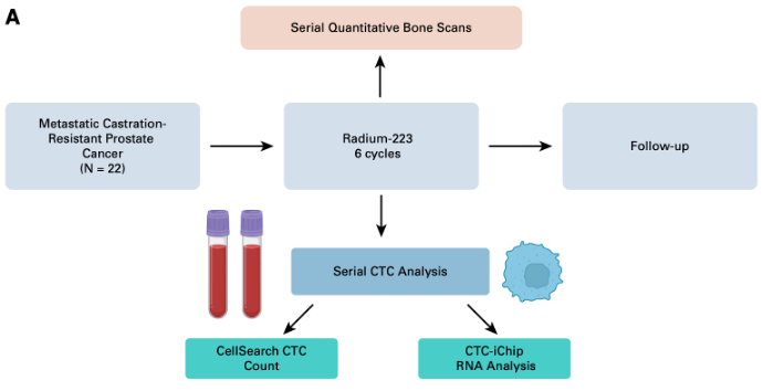 Pleased to share our study of biomarkers of Ra-223 response in mCRPC @JCOPO_ASCO. Quantitative bone scan and CTC analyses (in particular AR-V7) are prognostic. Congratulations and thanks to Phil Saylor, Keisuke Otani, and co-authors @MGHCancerCenter! ascopubs.org/doi/10.1200/PO…