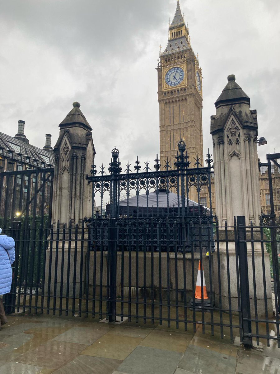 Today Liz, BDFA’s interim CEO headed to London to the Palace of Westminster for the Westminster Rare Disease day 2024 reception. Read more here facebook.com/bdfauk #RareDiseaseDay #battendisease