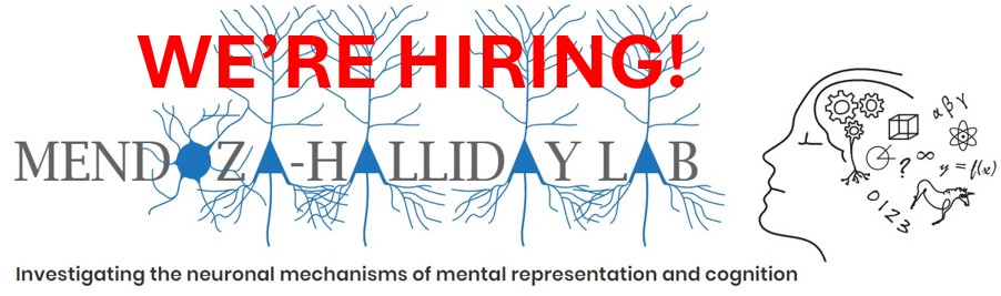 Our Lab is hiring! 1 POSTDOC &amp; 2 RESEARCH TECHNICIAN positions available. We use high-count multi-area neuronal recordings &amp; optogenetics to investigate how neurons generate &amp; manipulate mental representations. Check the JOIN US section @ mendoza-halliday-lab.com. Spread the word!