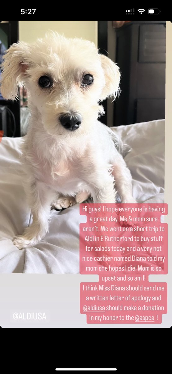 StephieRubes's tweet photo. Distressed over an incident involving a cashier identified as Diana at @AldiUSA East Rutherford, who told me she hopes my dog dies. I request a formal written apology and a charitable donation from Aldi to the @ASPCA in honor of Winston Paul. Why would anyone wish harm on him?! https://t.co/A77W3duJrv