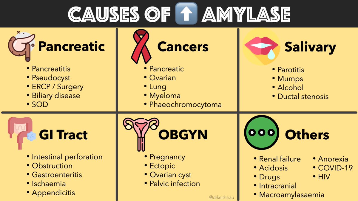 drkeithsiau's tweet photo. Recap on the causes of raised serum amylase 💡 https://t.co/LleWlVhB6h