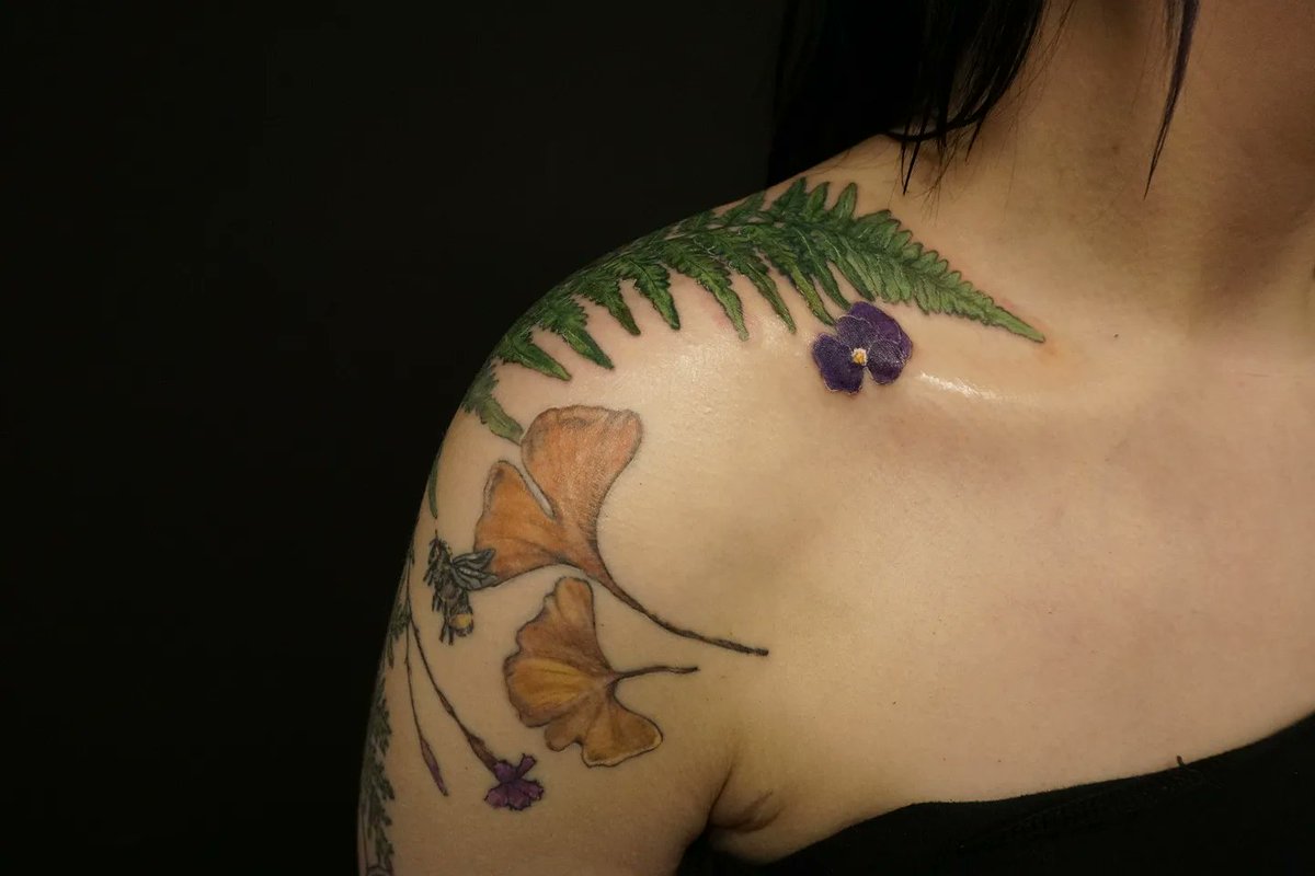 jazz harbord ✨ tweet media